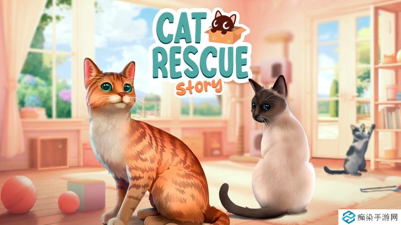 猫咪救援故事丨Cat Rescue Story_0