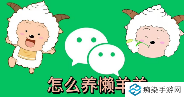 微信状态怎么养动物-微信状态怎么养宠物