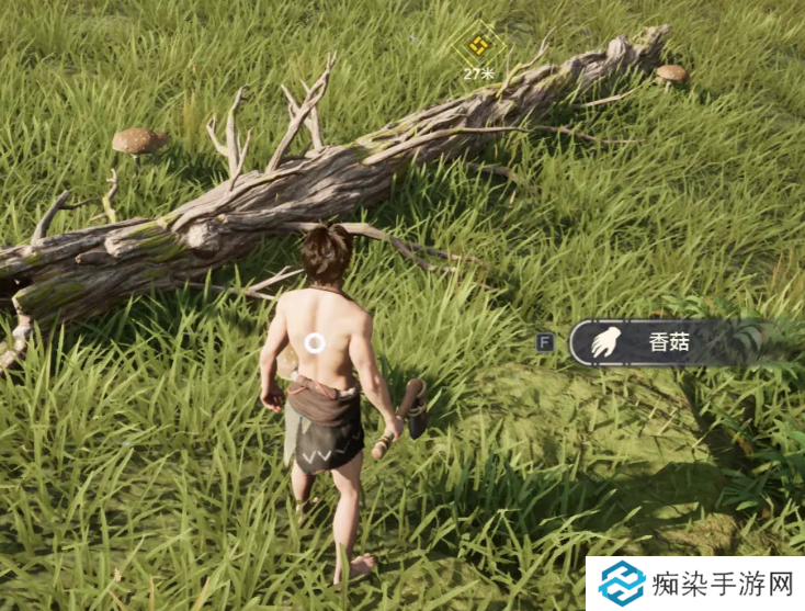 荒野起源探索攻略 荒野起源怎么探索