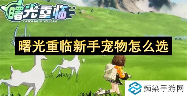 曙光重临新手宠物怎么选